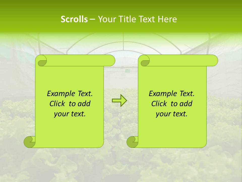 Green Vitamins Net PowerPoint Template