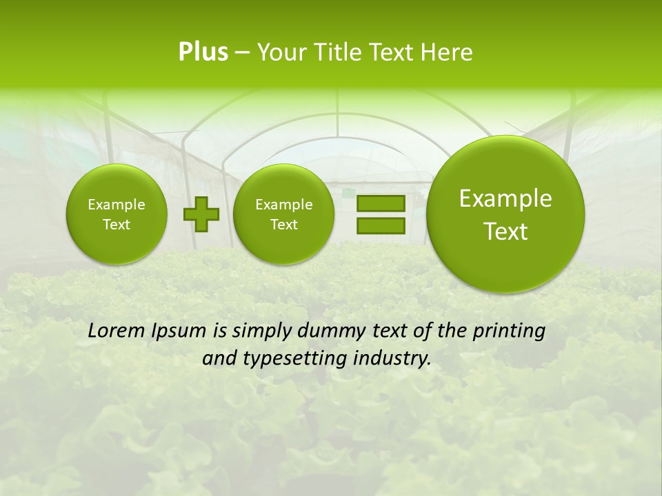 Green Vitamins Net PowerPoint Template