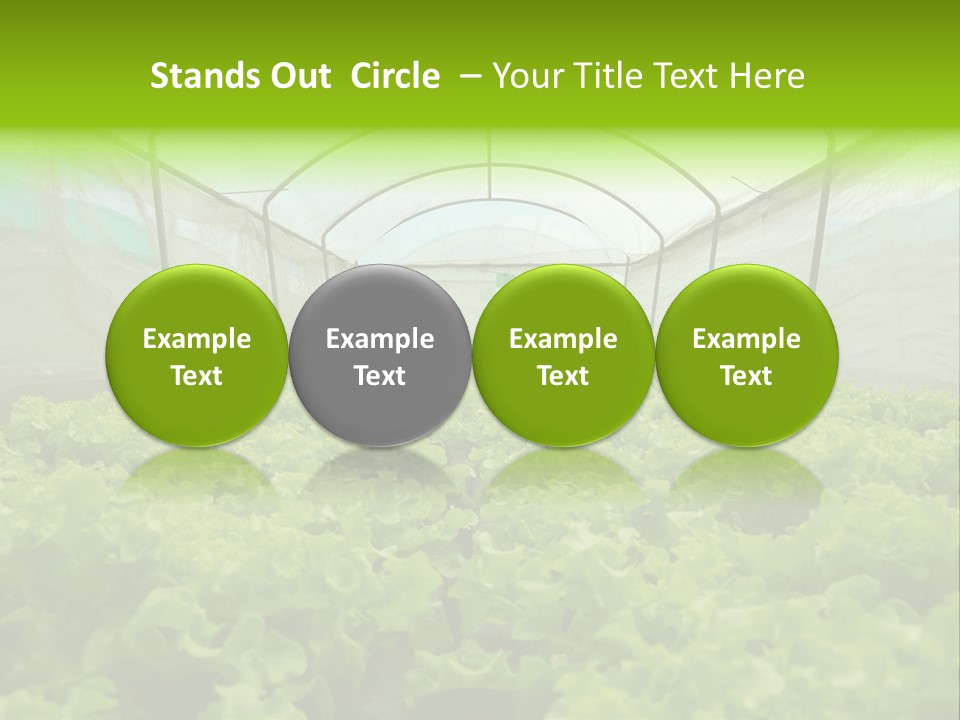Green Vitamins Net PowerPoint Template