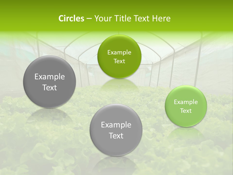Green Vitamins Net PowerPoint Template
