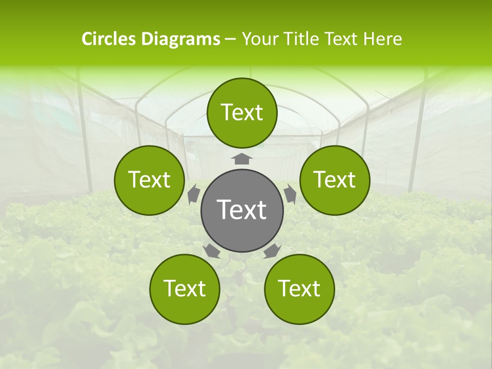 Green Vitamins Net PowerPoint Template