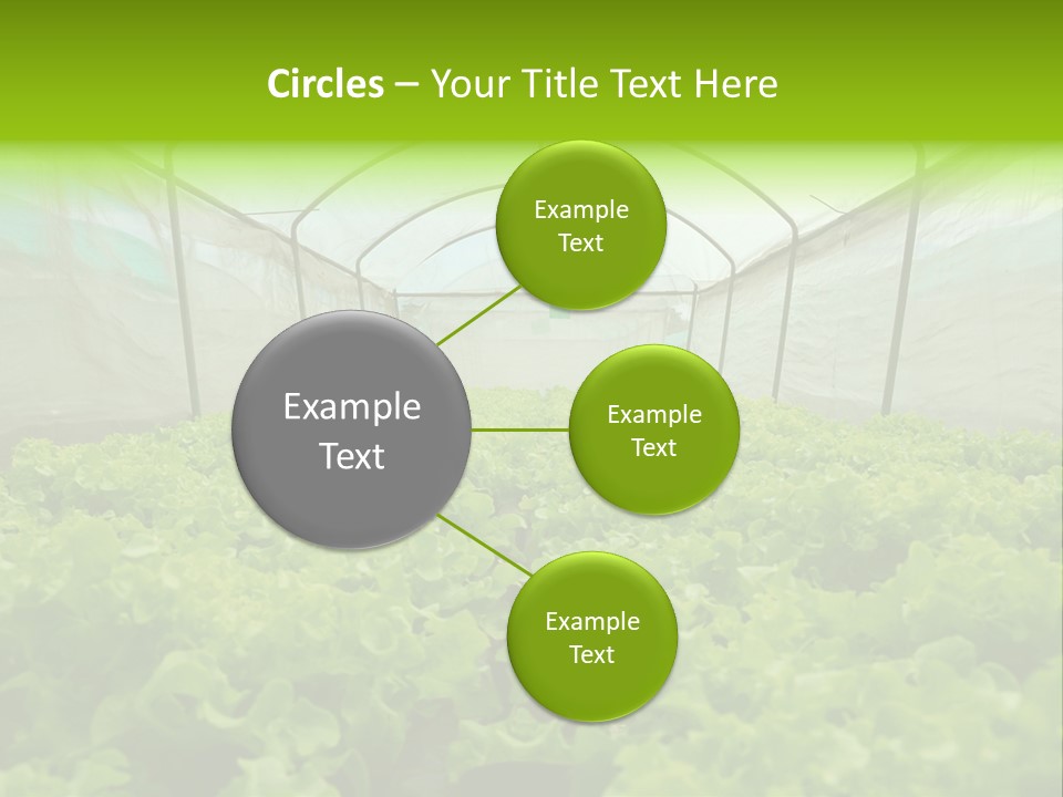 Green Vitamins Net PowerPoint Template