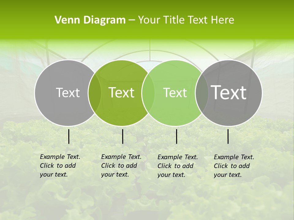 Green Vitamins Net PowerPoint Template