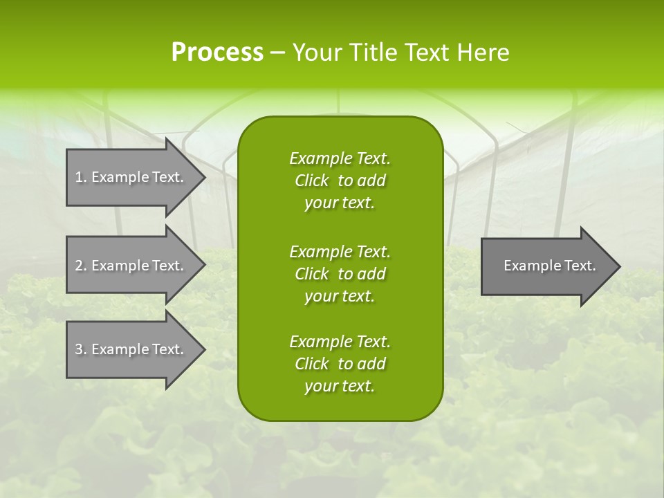 Green Vitamins Net PowerPoint Template