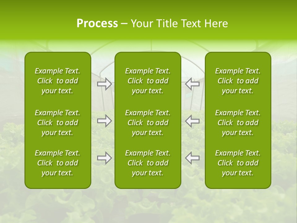 Green Vitamins Net PowerPoint Template