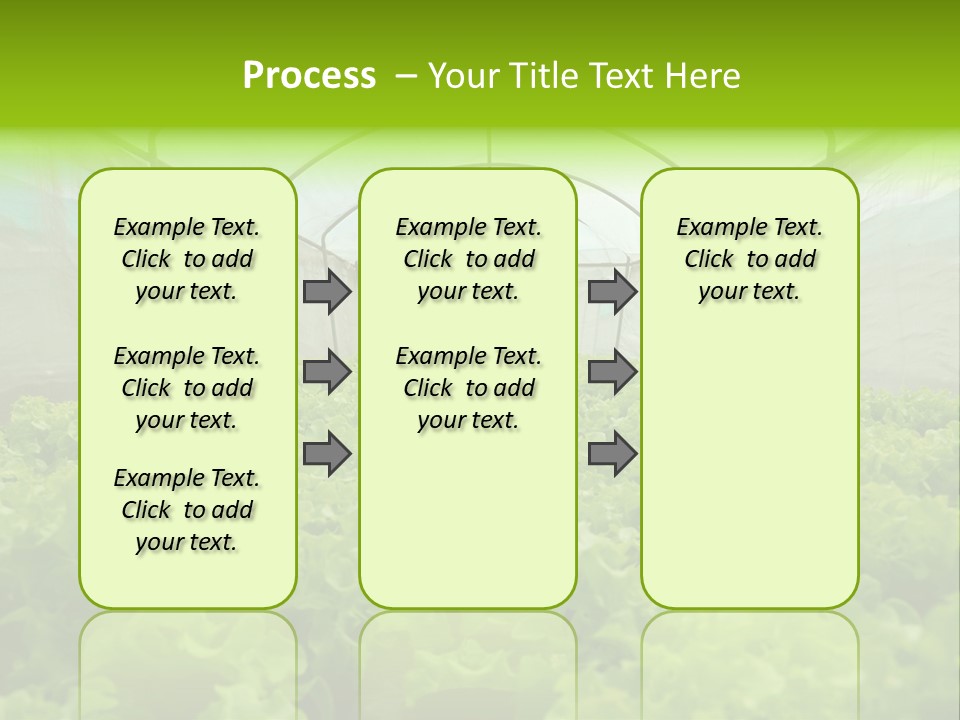 Green Vitamins Net PowerPoint Template