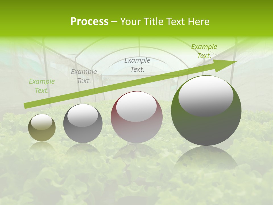 Green Vitamins Net PowerPoint Template