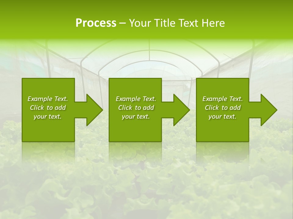 Green Vitamins Net PowerPoint Template