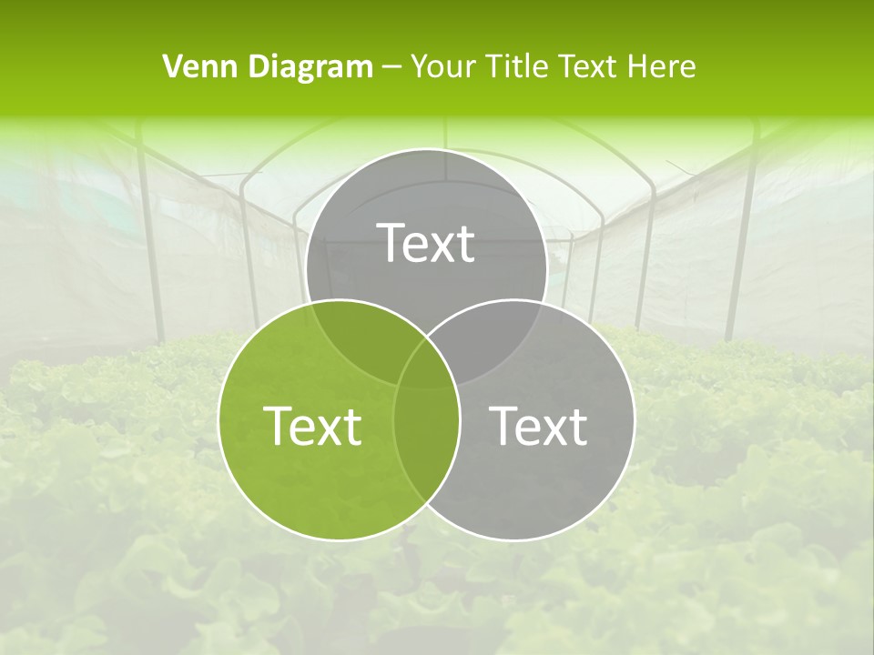 Green Vitamins Net PowerPoint Template