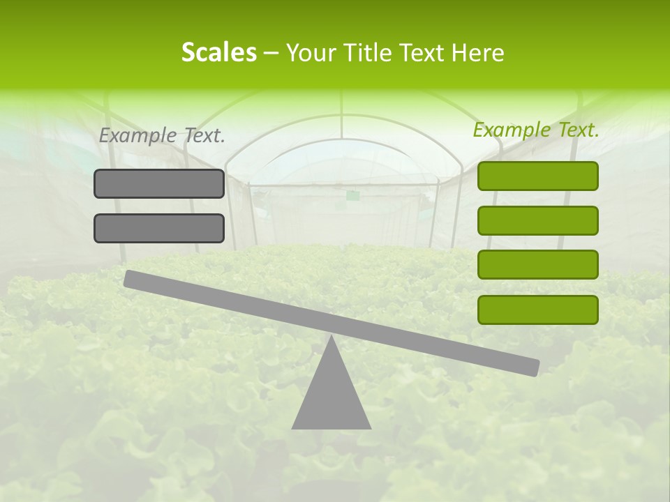 Green Vitamins Net PowerPoint Template