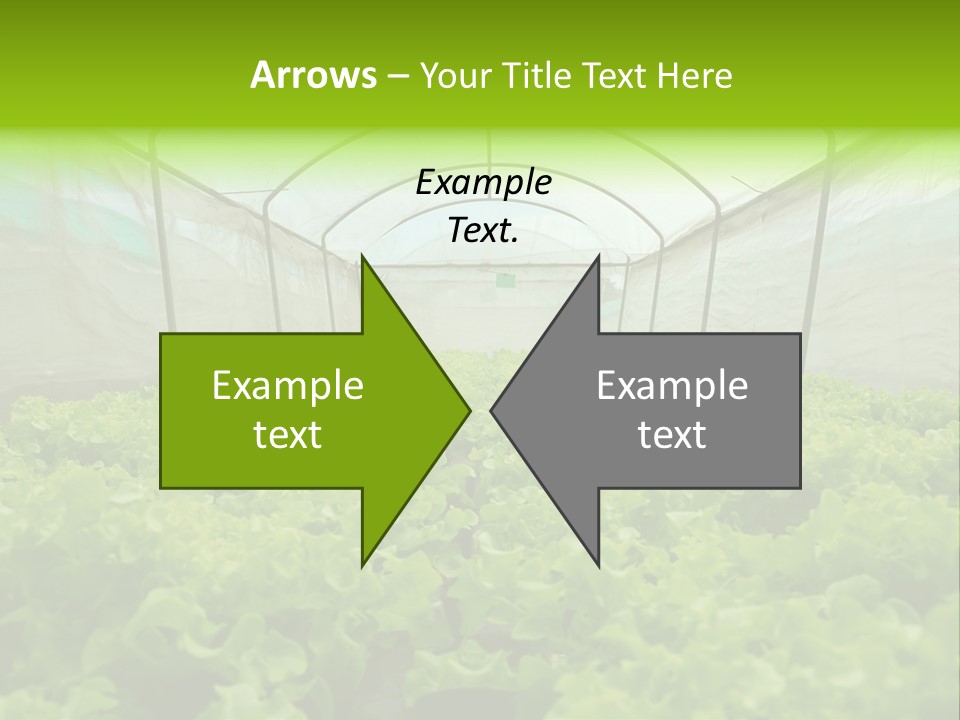 Green Vitamins Net PowerPoint Template