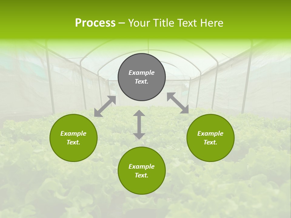 Green Vitamins Net PowerPoint Template