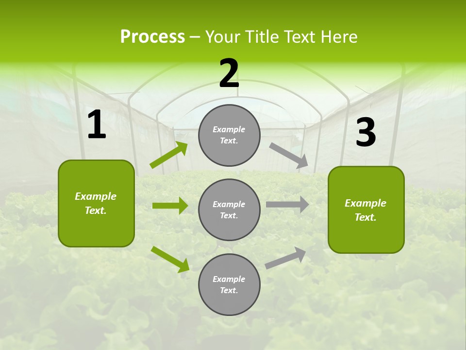 Green Vitamins Net PowerPoint Template