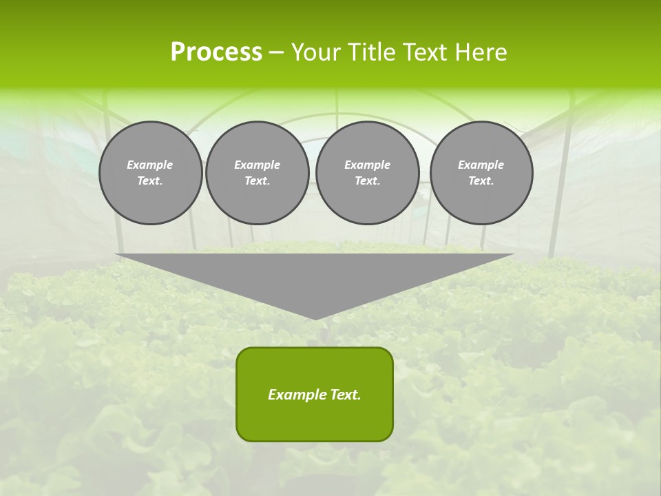 Green Vitamins Net PowerPoint Template