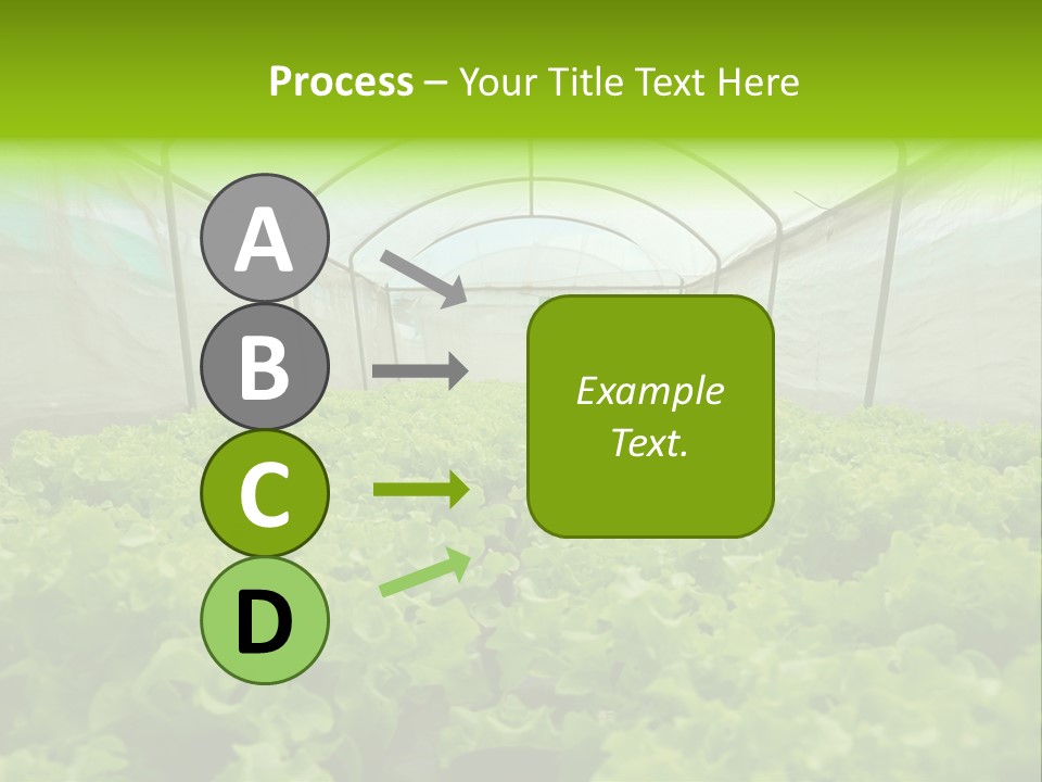 Green Vitamins Net PowerPoint Template
