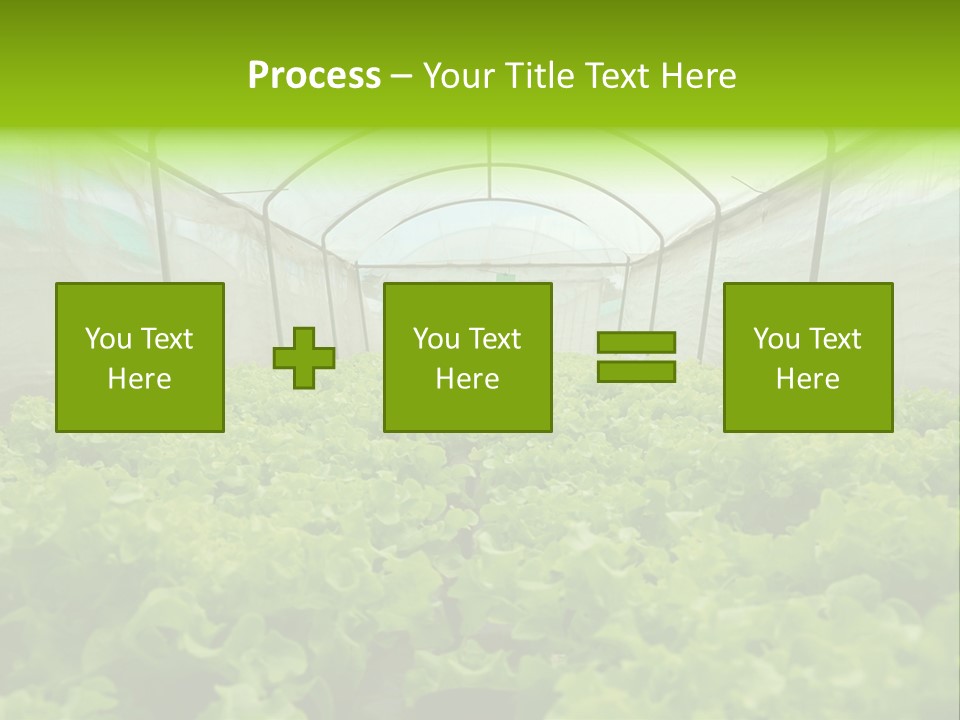 Green Vitamins Net PowerPoint Template