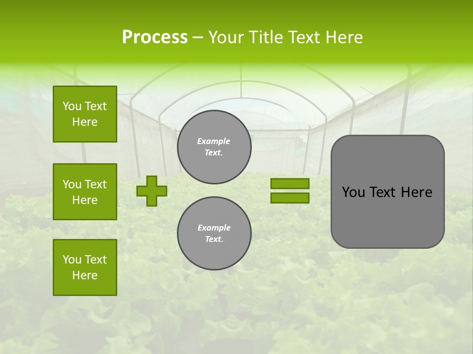 Green Vitamins Net PowerPoint Template