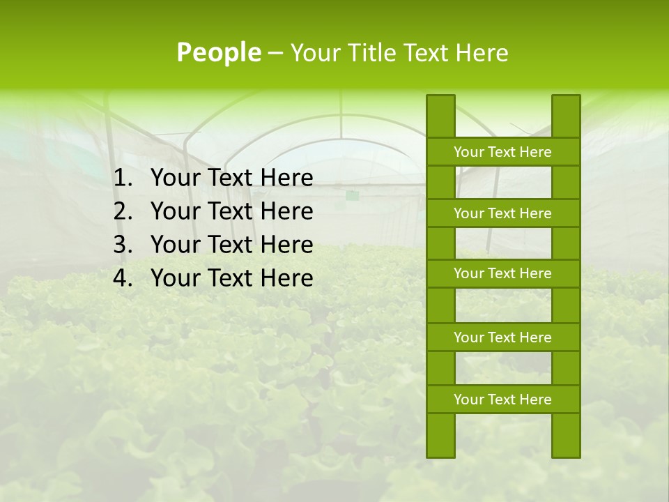 Green Vitamins Net PowerPoint Template