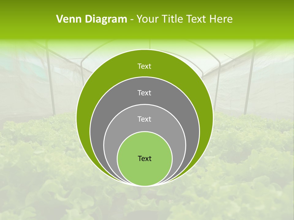 Green Vitamins Net PowerPoint Template