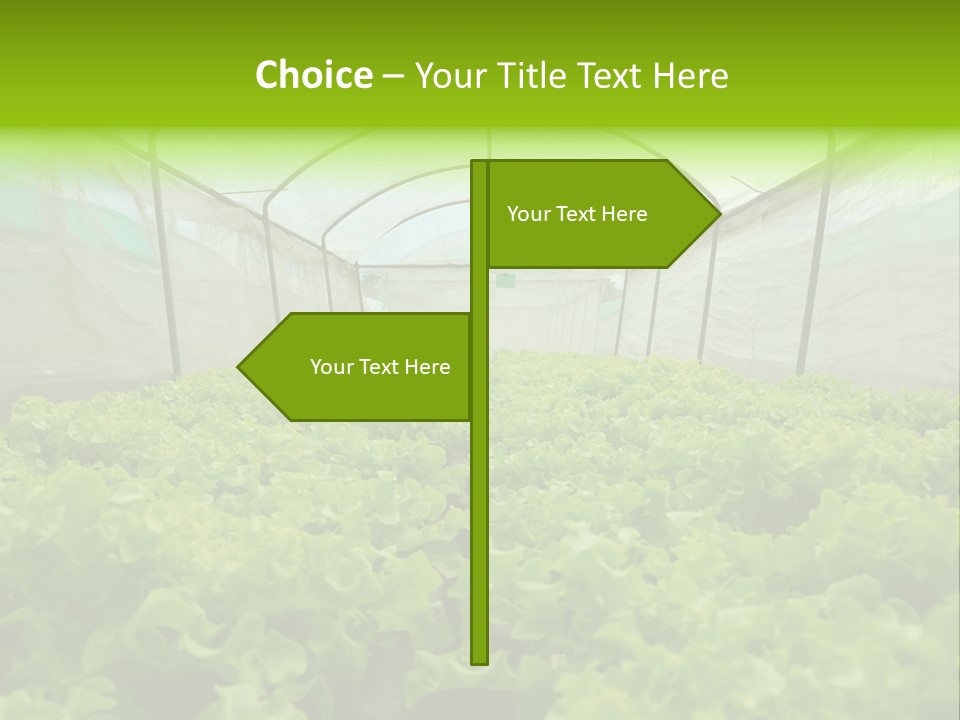 Green Vitamins Net PowerPoint Template