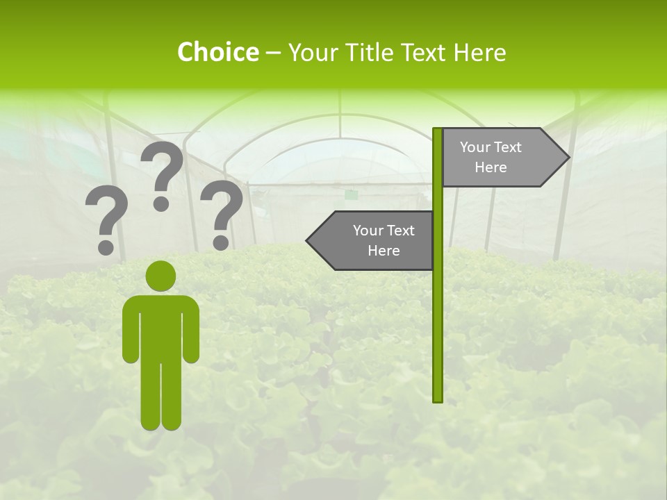 Green Vitamins Net PowerPoint Template