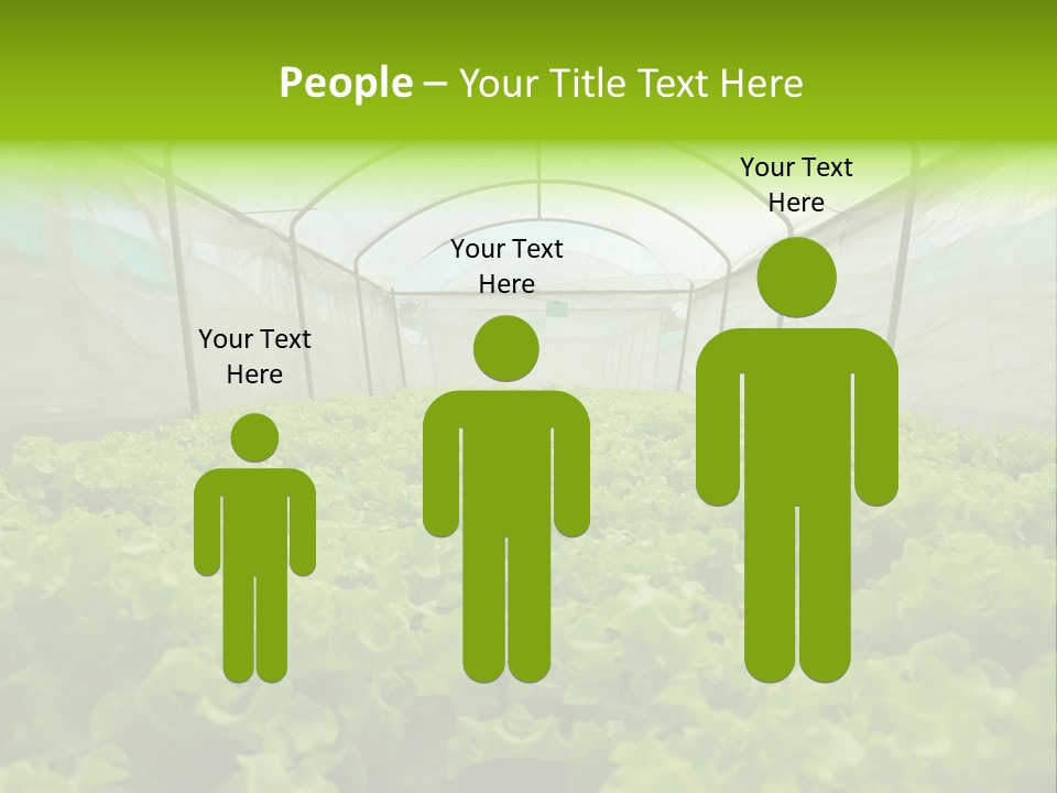 Green Vitamins Net PowerPoint Template