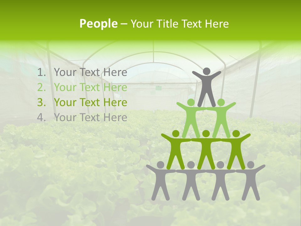 Green Vitamins Net PowerPoint Template