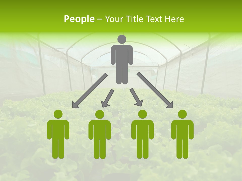 Green Vitamins Net PowerPoint Template