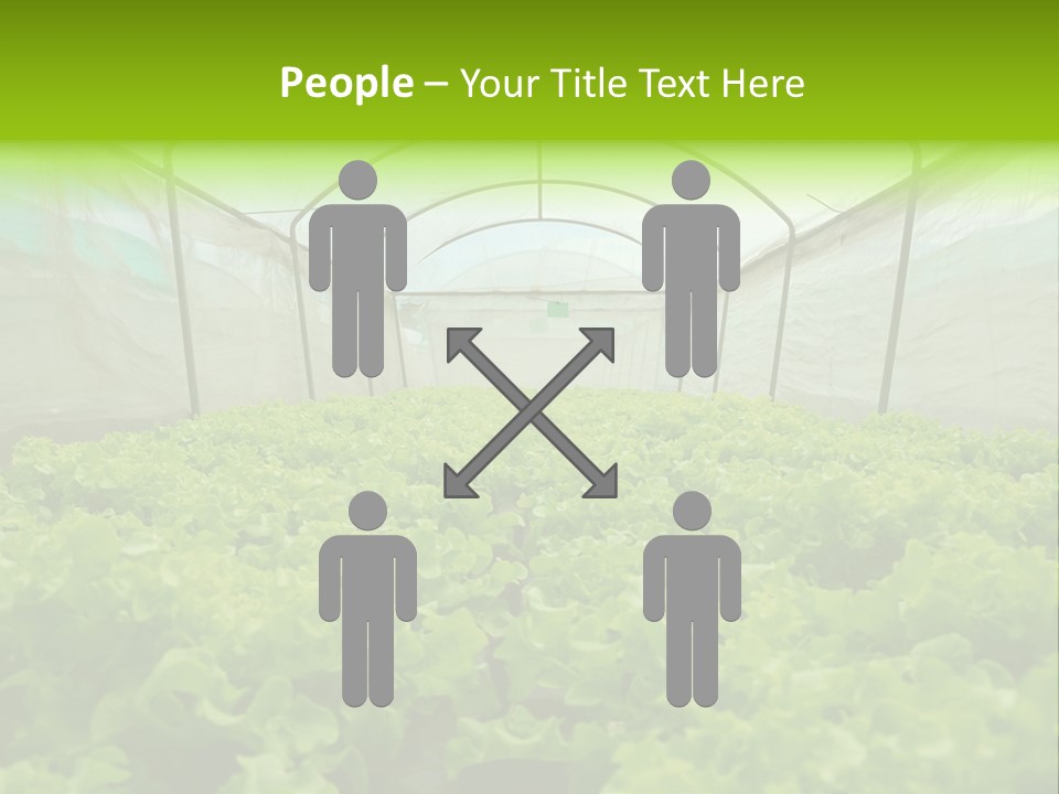 Green Vitamins Net PowerPoint Template