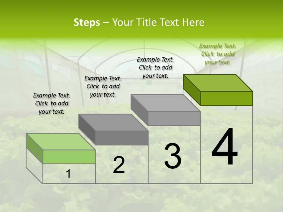 Green Vitamins Net PowerPoint Template