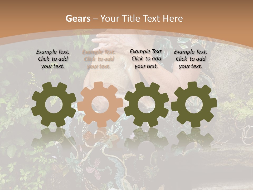 Seventy Maturity Friendly PowerPoint Template