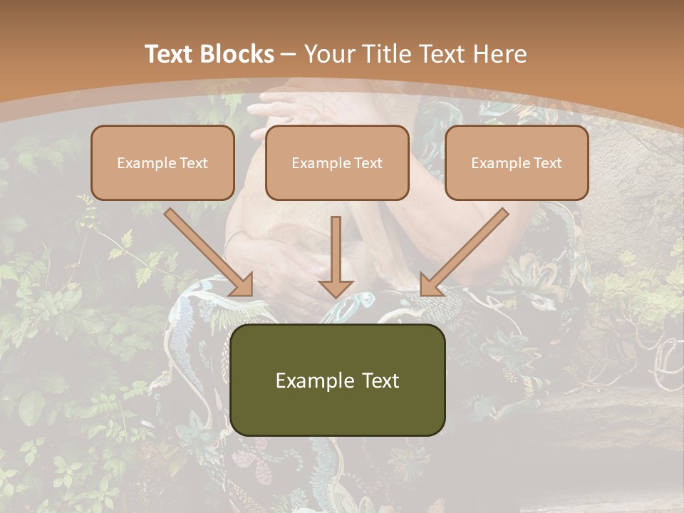 Seventy Maturity Friendly PowerPoint Template