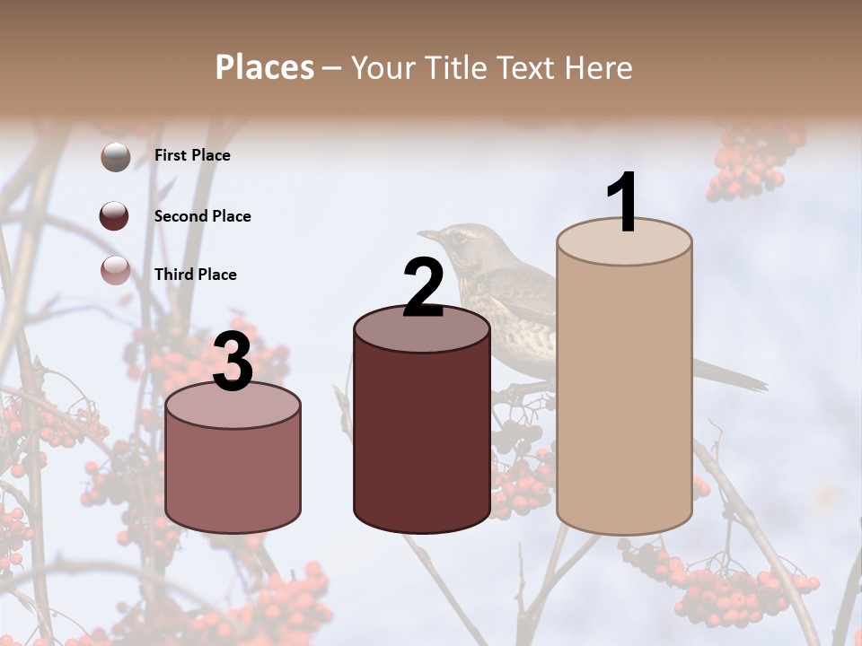 Aucuparia Wildlife Ash PowerPoint Template