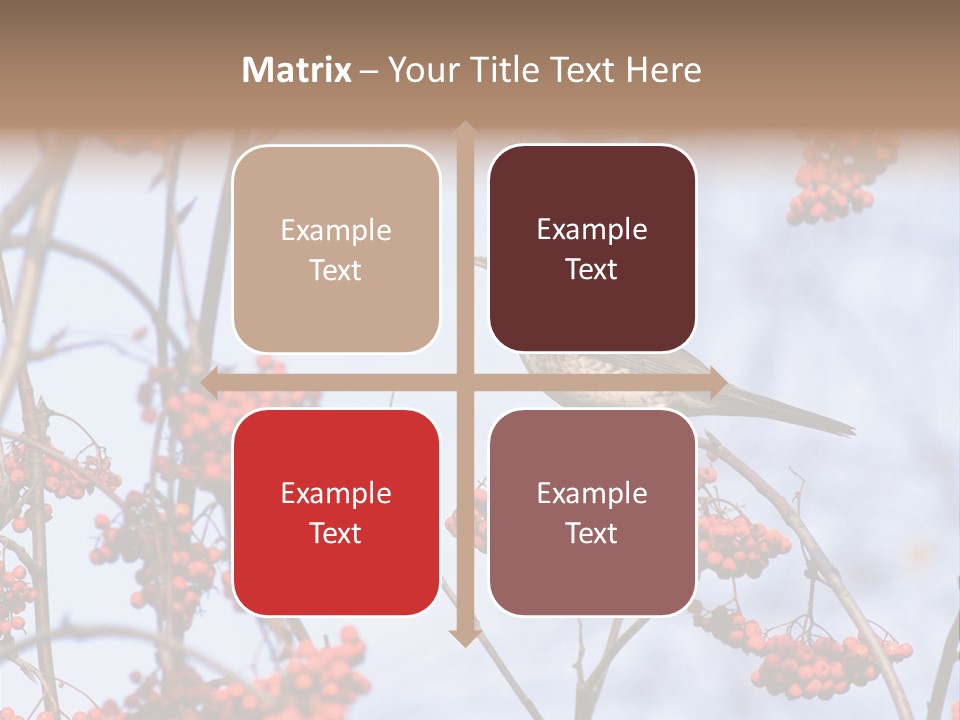 Aucuparia Wildlife Ash PowerPoint Template