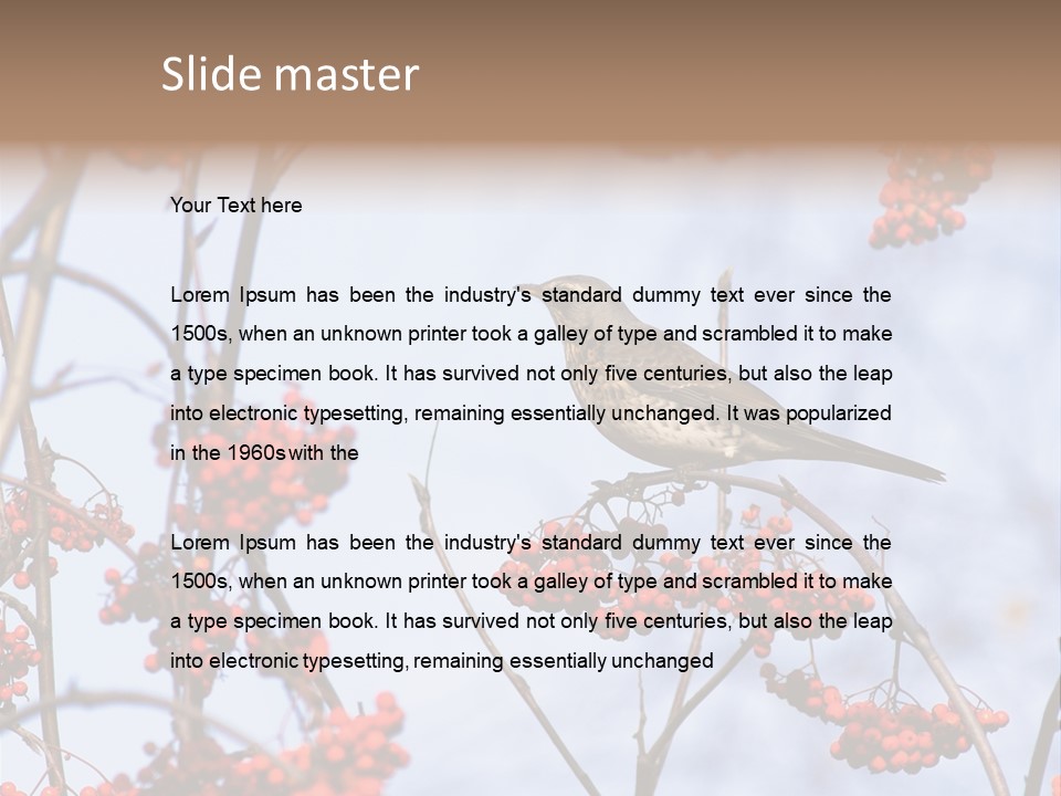 Aucuparia Wildlife Ash PowerPoint Template