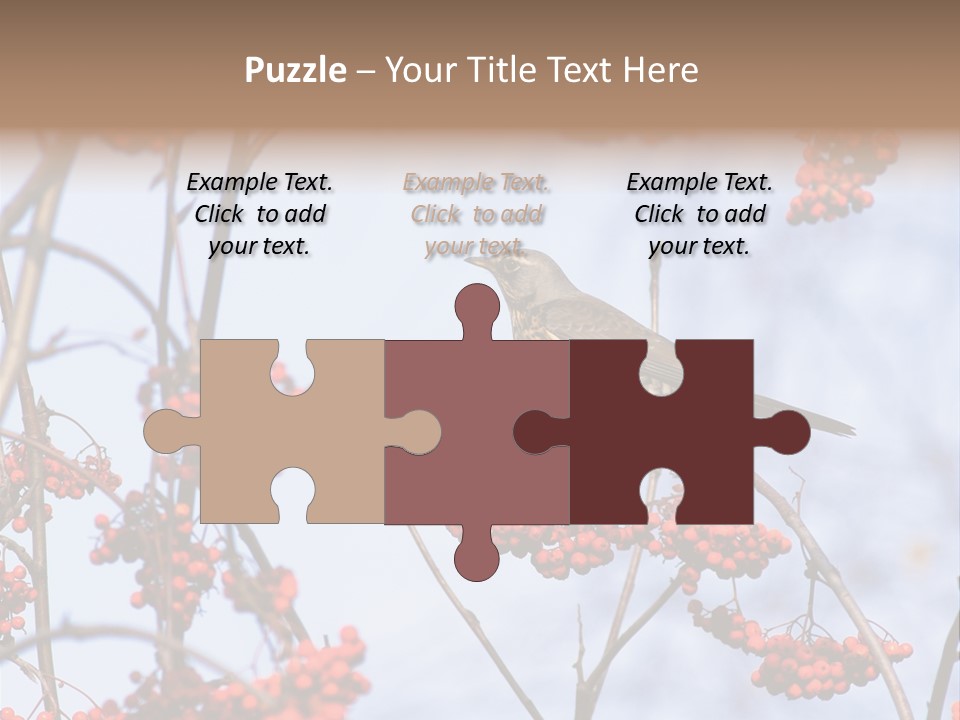 Aucuparia Wildlife Ash PowerPoint Template