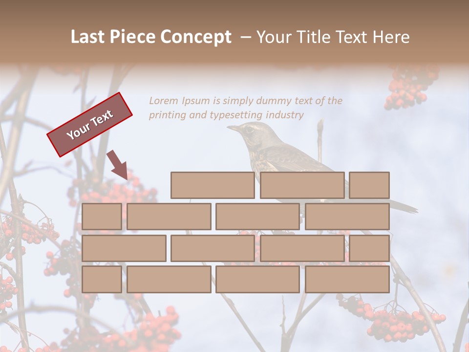 Aucuparia Wildlife Ash PowerPoint Template