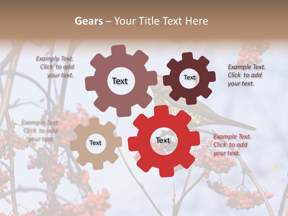 Aucuparia Wildlife Ash PowerPoint Template