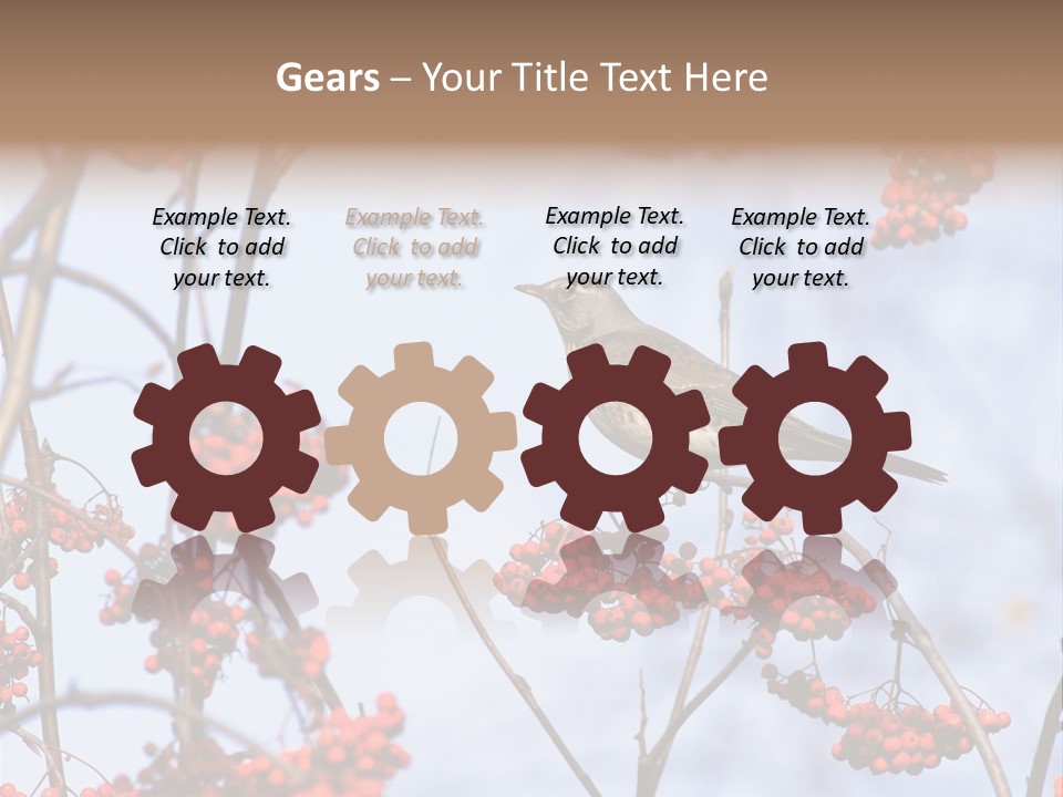 Aucuparia Wildlife Ash PowerPoint Template