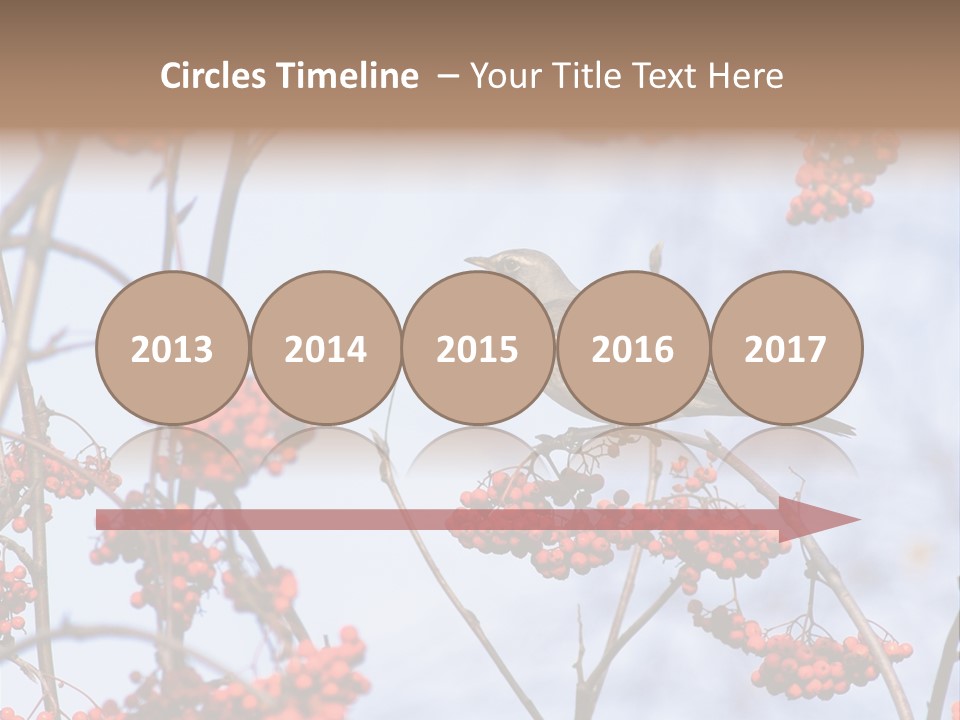 Aucuparia Wildlife Ash PowerPoint Template