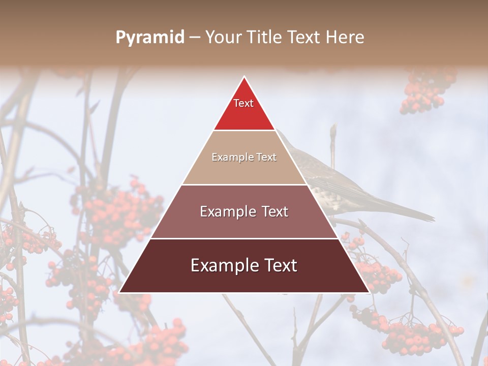 Aucuparia Wildlife Ash PowerPoint Template