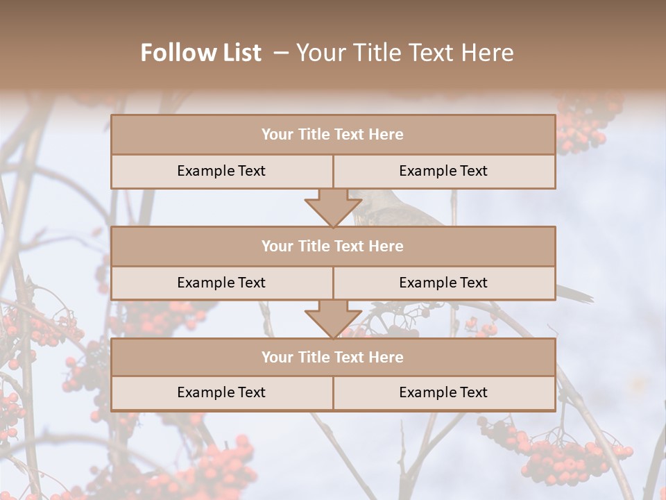 Aucuparia Wildlife Ash PowerPoint Template