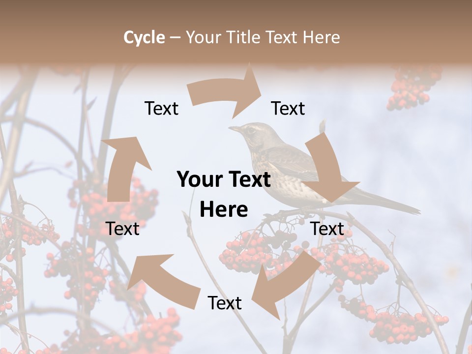 Aucuparia Wildlife Ash PowerPoint Template