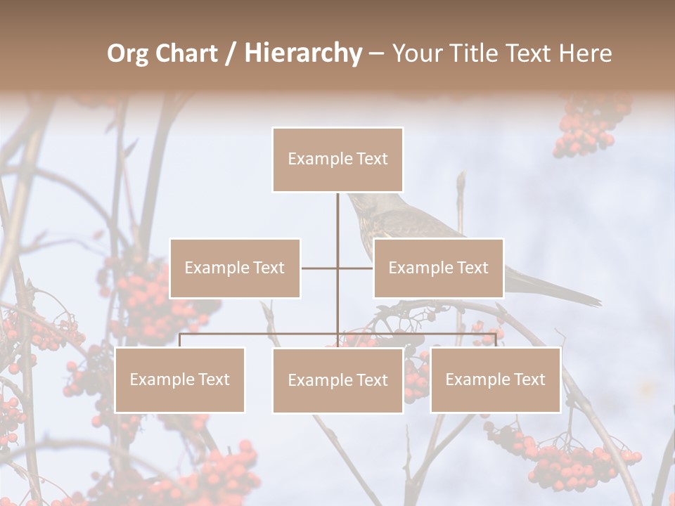 Aucuparia Wildlife Ash PowerPoint Template