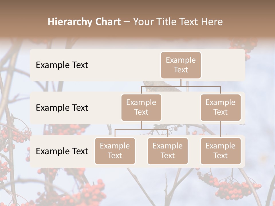 Aucuparia Wildlife Ash PowerPoint Template