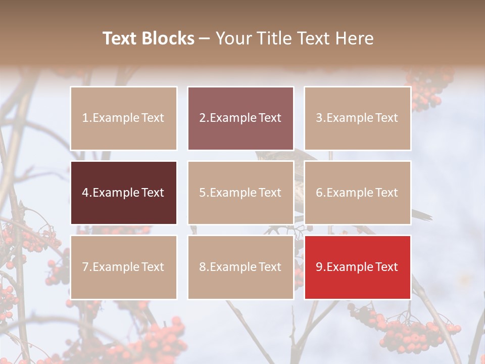 Aucuparia Wildlife Ash PowerPoint Template