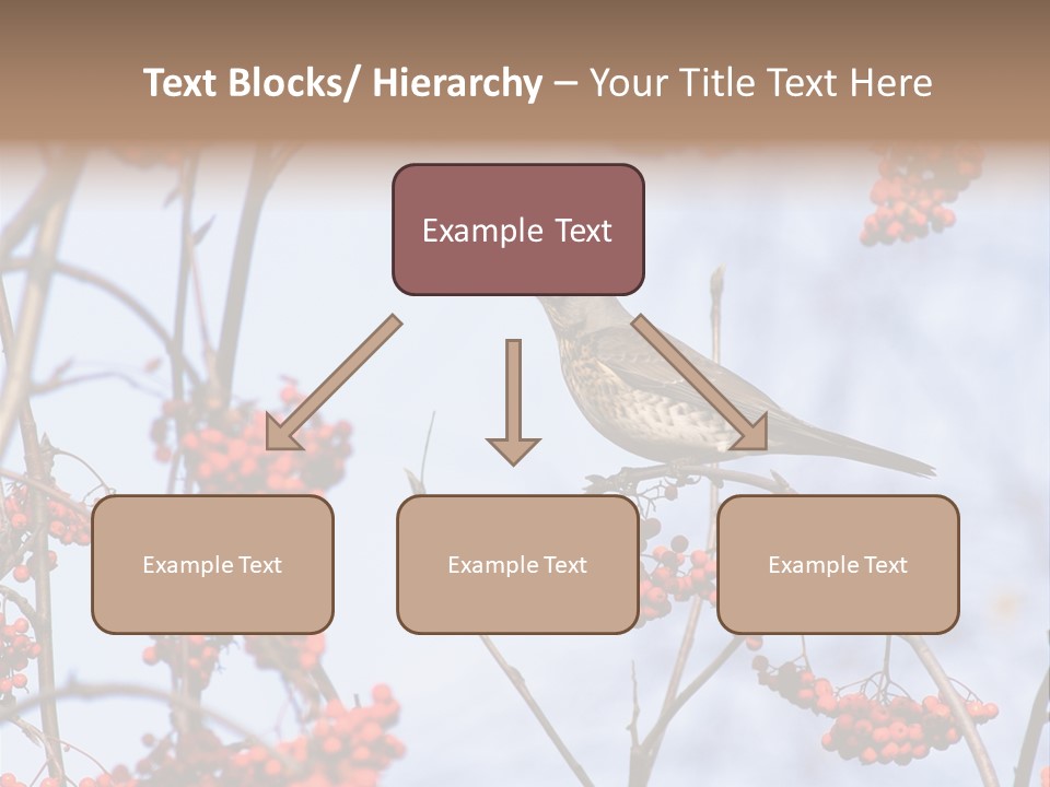 Aucuparia Wildlife Ash PowerPoint Template