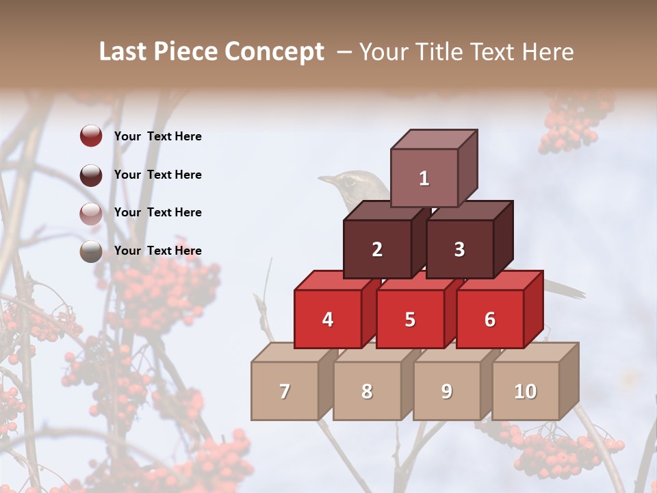 Aucuparia Wildlife Ash PowerPoint Template