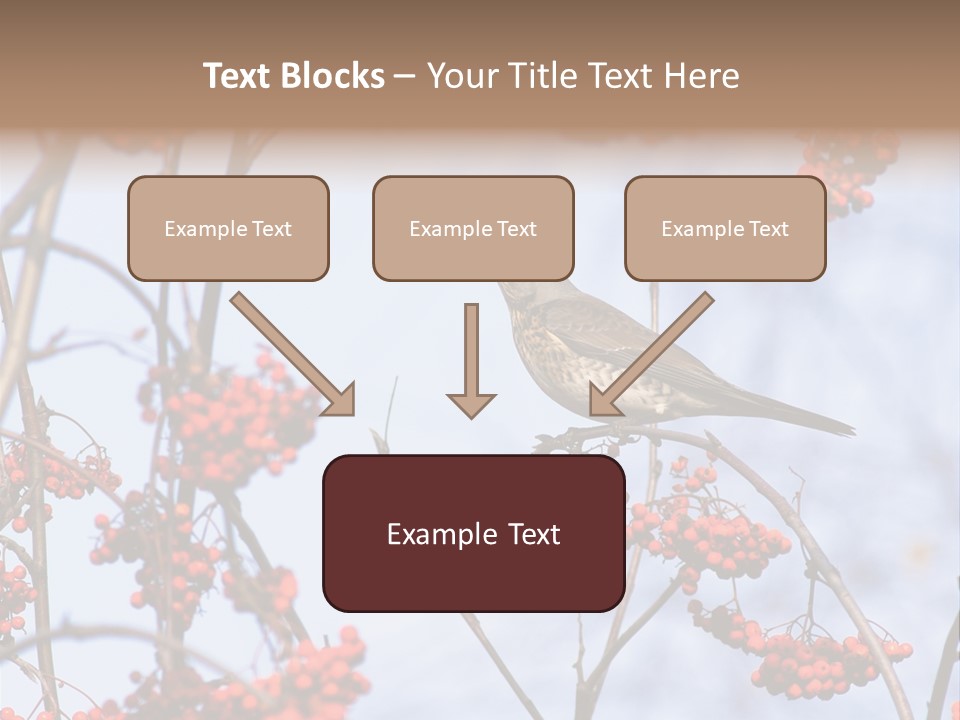 Aucuparia Wildlife Ash PowerPoint Template