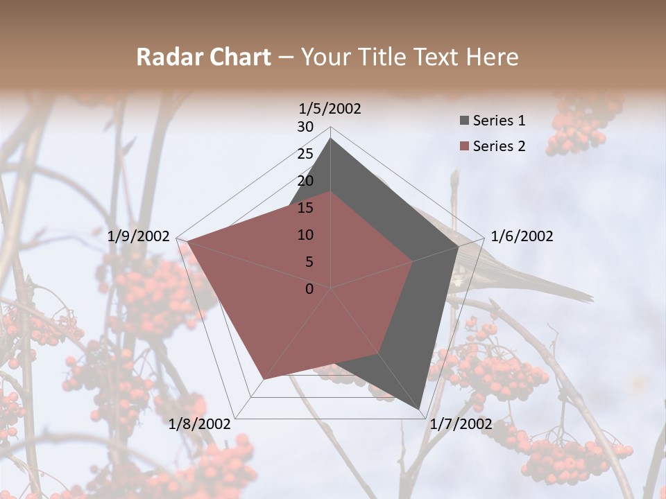 Aucuparia Wildlife Ash PowerPoint Template